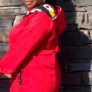 Scarlet Hoodie Dress